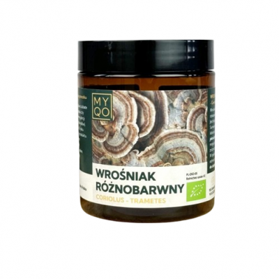 Wrośniak różnobarwny - Coriolus versicolor - Trametes versicolor - EKO 100g MYQO - 5905943628197.jpg