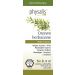 Olejek Eteryczny Drzewo Herbaciane (Tea Tree) BIO 10ml Physalis