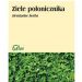 Połonicznik ziele 50g Flos