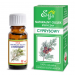 Olejek Cyprysowy 10ml Etja