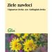 Ziele nawłoci 50g Flos