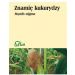 Znamię kukurydzy 50g Flos