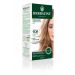 Farba do włosów 9DR Miedziany Złoty Blond Herbatint