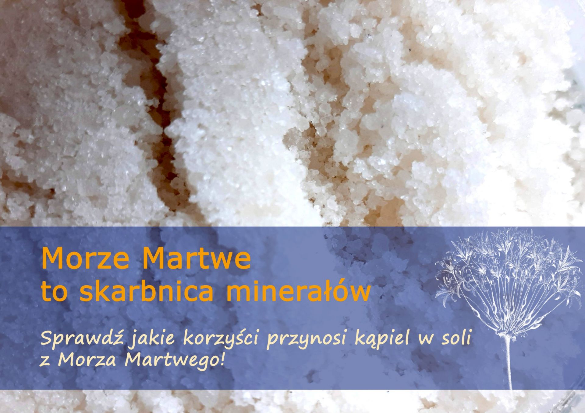Morze Martwe - skarbnica minerałów - sol_z_mm.jpg